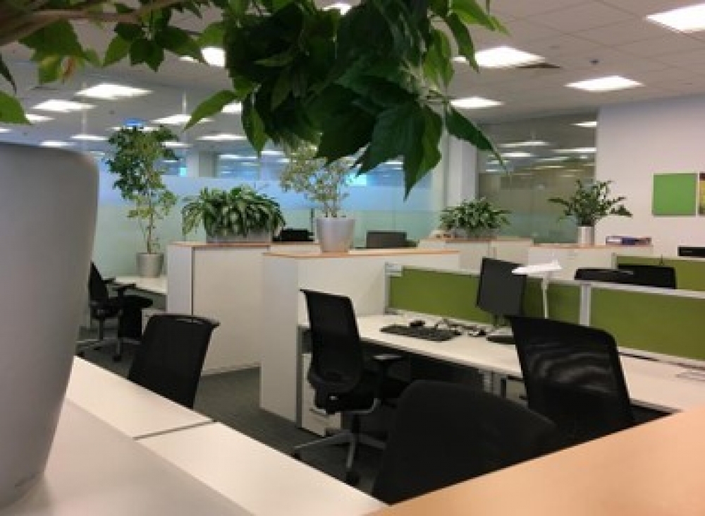 Аренда офиса Бизнес-центр «Wall Street»