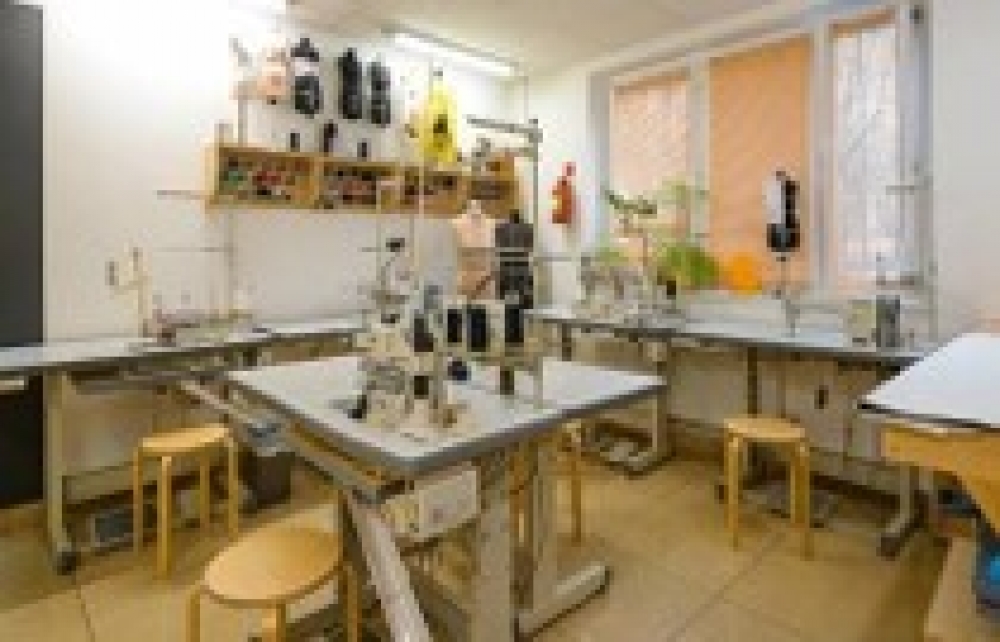 Аренда торгового помещения Жилое здание 