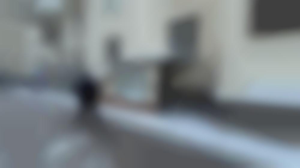 Аренда торгового помещения Закрытая продажа #63242