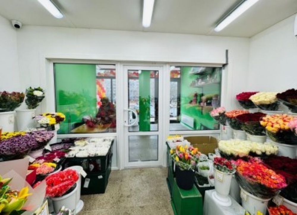 Арендный бизнес ОСЗ 