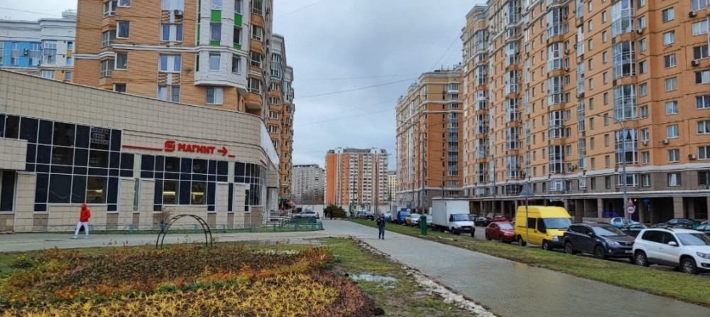 Аренда торгового помещения ЖК: Царицыно