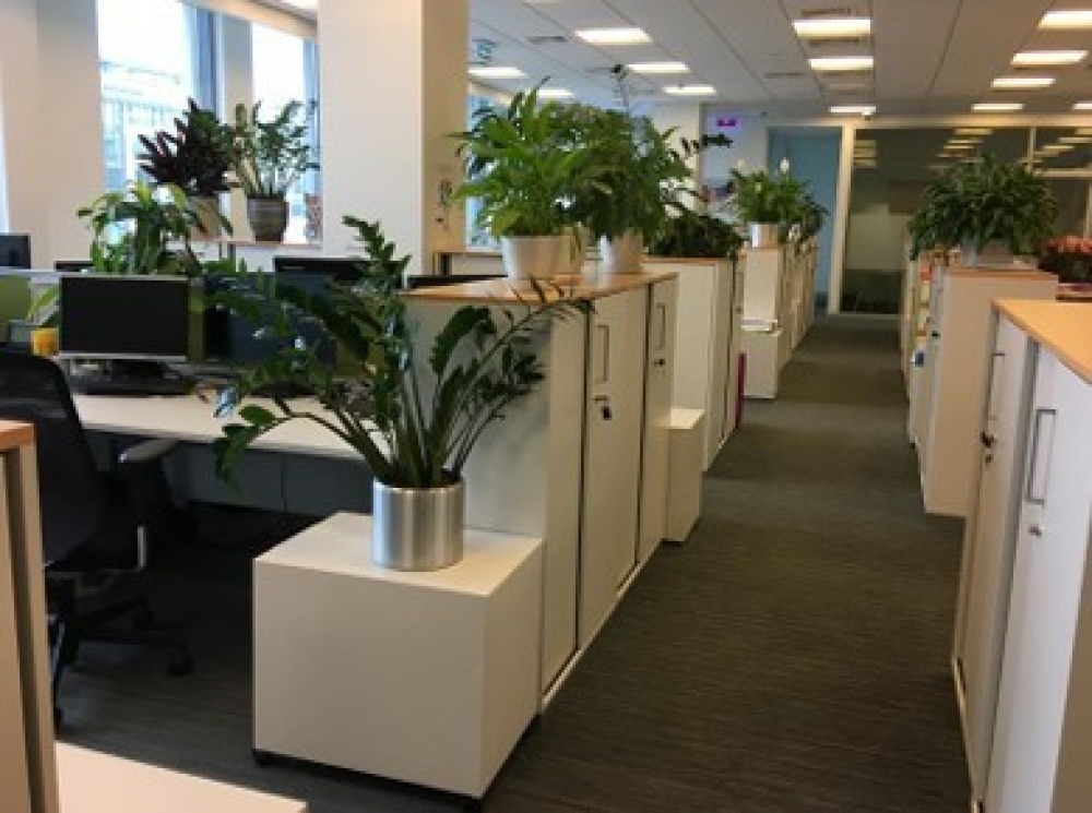 Аренда офиса Бизнес-центр «Wall Street»