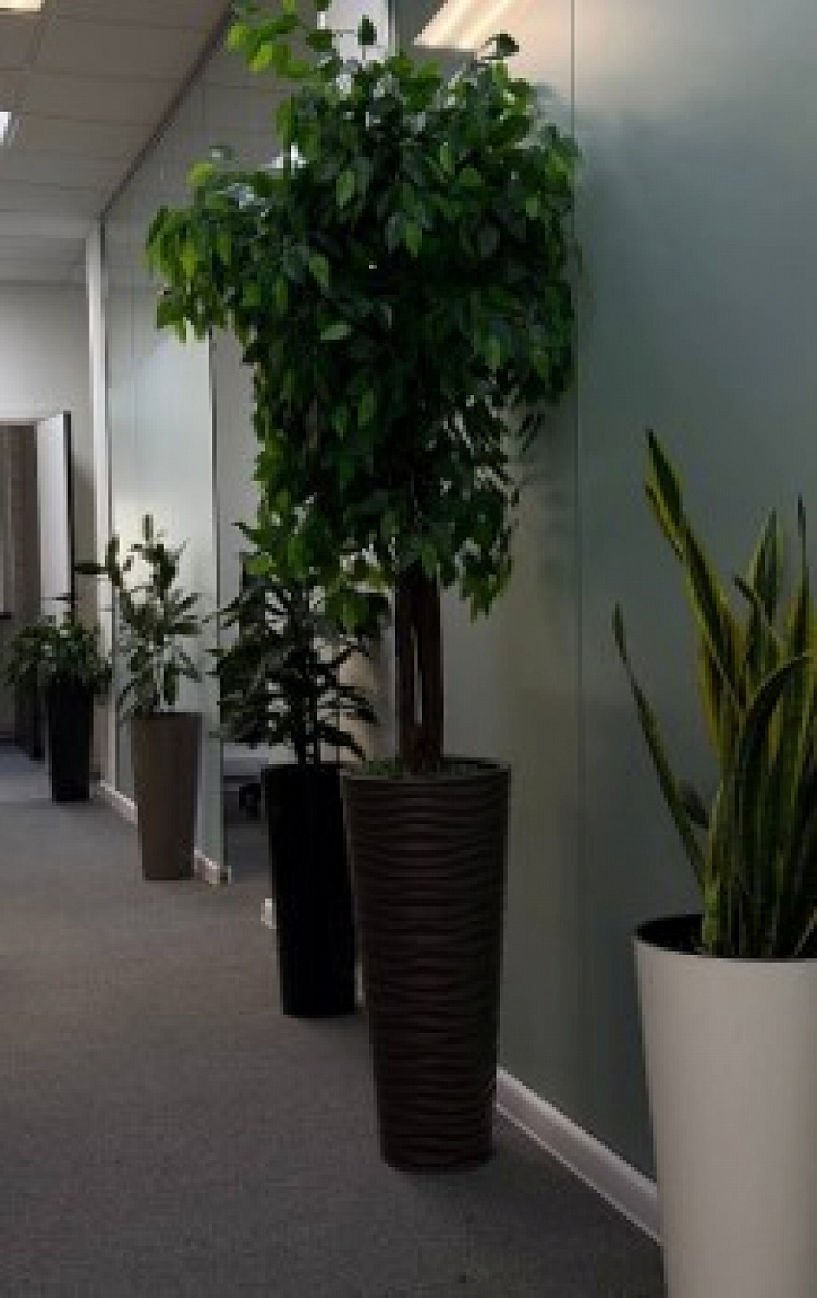 Аренда офиса БЦ 