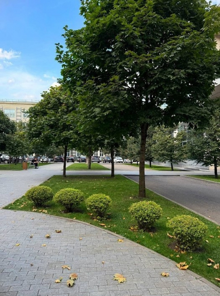 Аренда офиса Бизнес-центр «Офис-парк Шереметьевский»