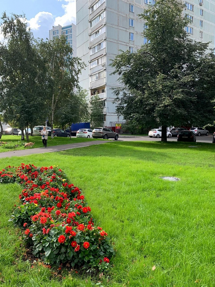 Арендный бизнес Жилое здание 