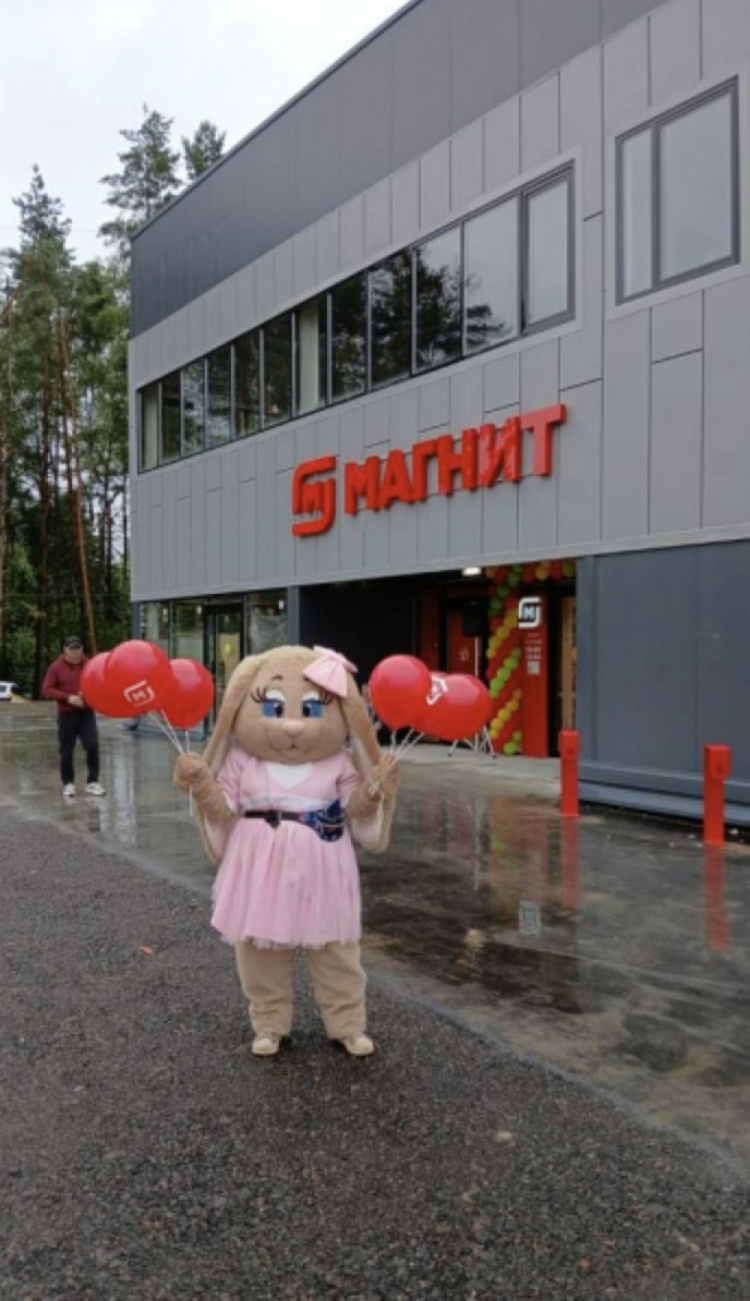 Арендный бизнес Торговый Центр Борзые