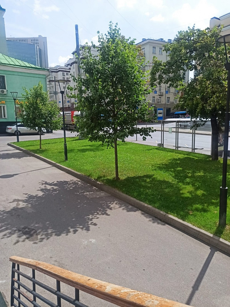 Арендный бизнес Жилое здание 