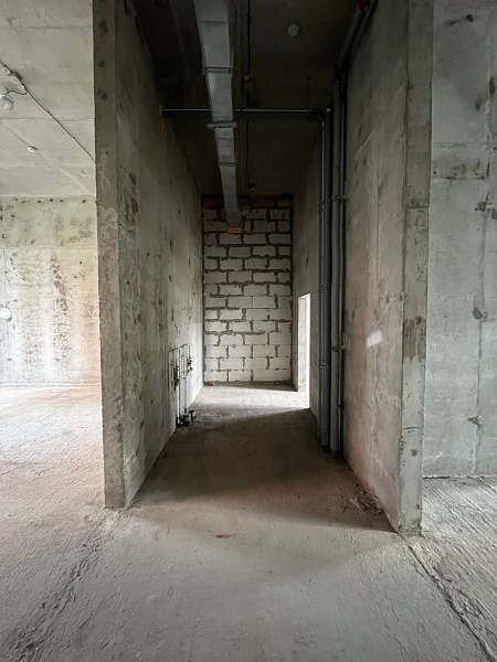 Продажа торгового помещения Александры Монаховой 80к3