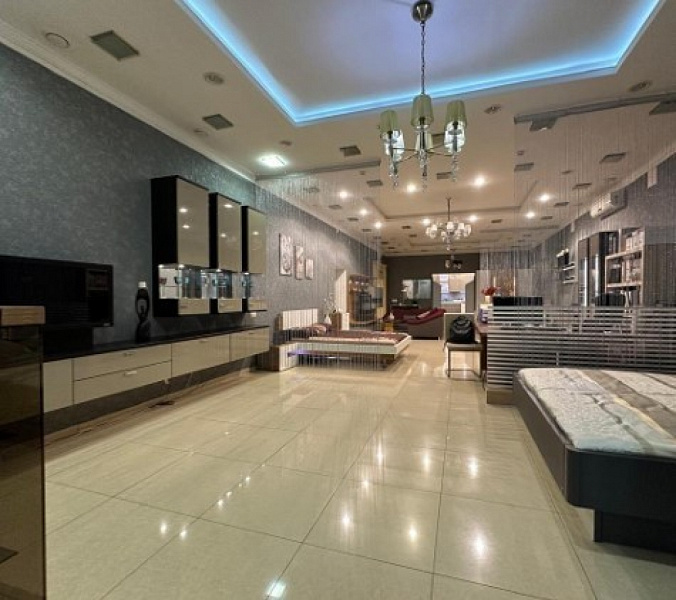 Арендный бизнес Жилой дом 