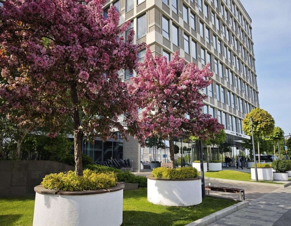 Аренда офиса Бизнес-центр «Wall Street»