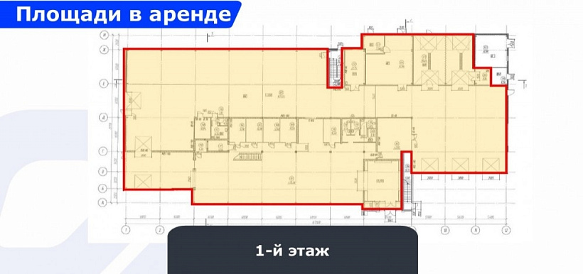 Арендный бизнес Дилерский центр 