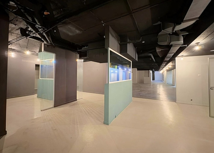 Аренда торгового помещения Бизнес - центр «Маяковская Плаза»