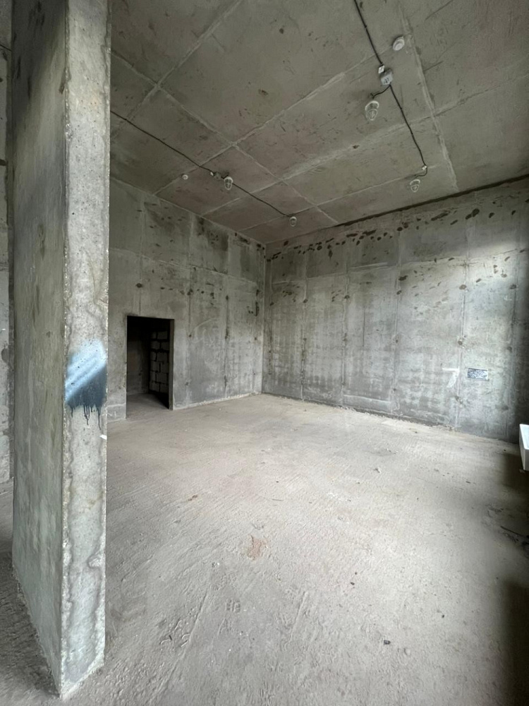 Продажа торгового помещения Александры Монаховой 80к3