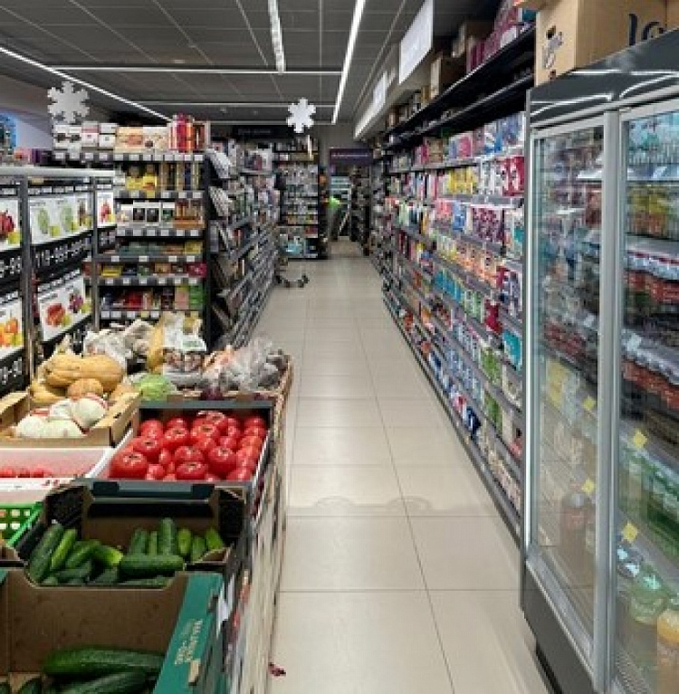 Арендный бизнес Малая Ботаническая, 3