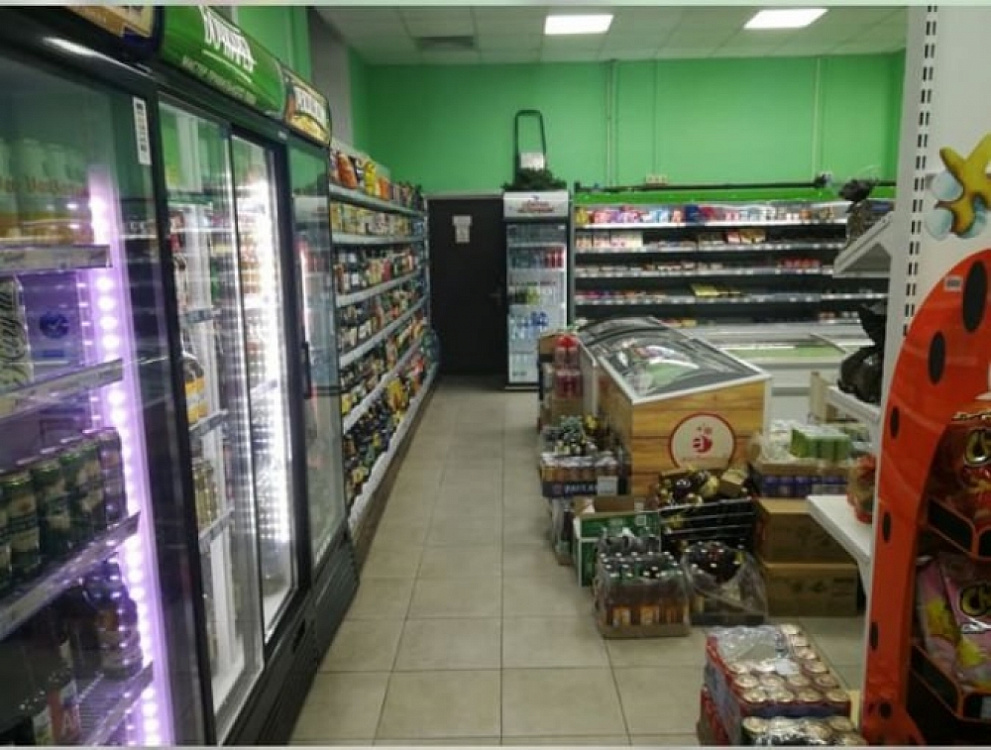 Арендный бизнес Жилой дом