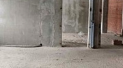 Аренда торгового помещения ЖК 