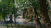Аренда торгового помещения Жилое здание 
