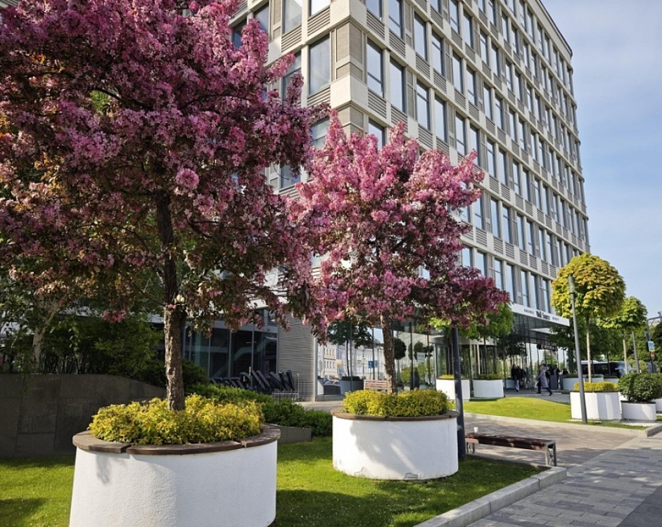 Аренда офиса Бизнес-центр «Wall Street»