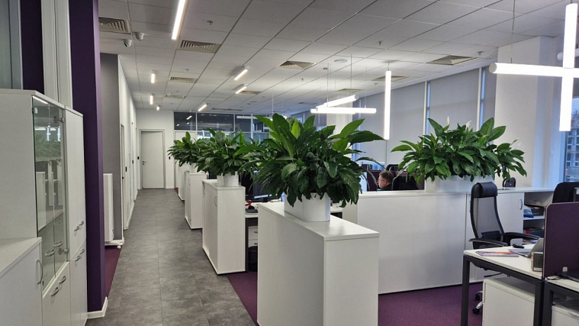 Аренда офиса Бизнес-центр 