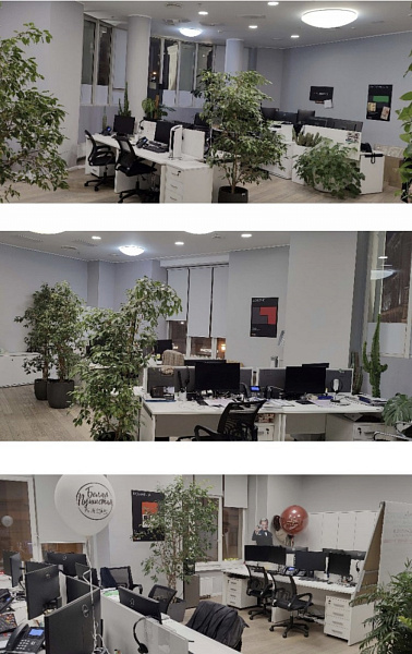 Аренда офиса Торгово-офисный комплекс 