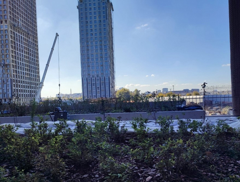 Продажа офиса Бизнес-центр TALLER